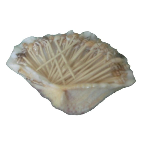 Clam Shell Wooden Tooth Picks Tiki Party Wedding Luau Holiday Cocktails 40 plus - Picture 5 of 6